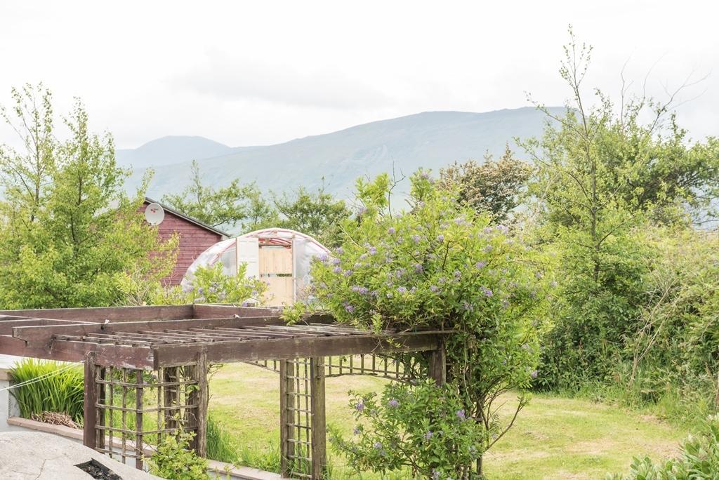 Restmore B&B Annascaul Екстер'єр фото
